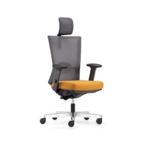 Chairs-FORTE_969YKA69NP